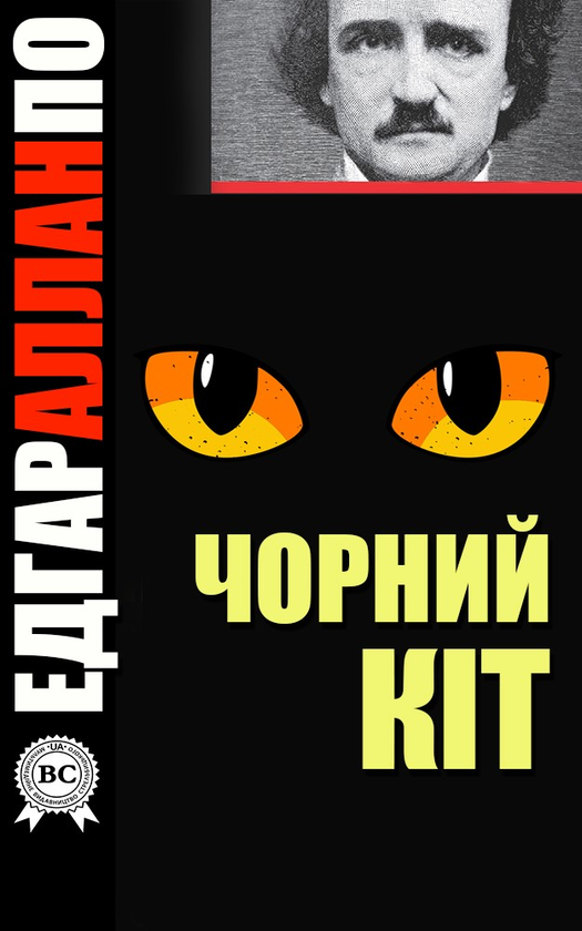 Чорний кіт