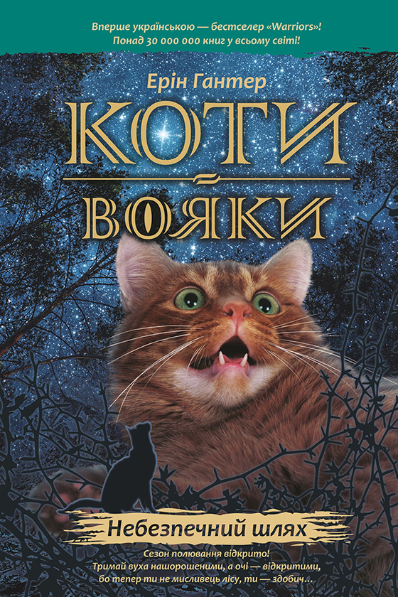 5. Небезпечний шлях