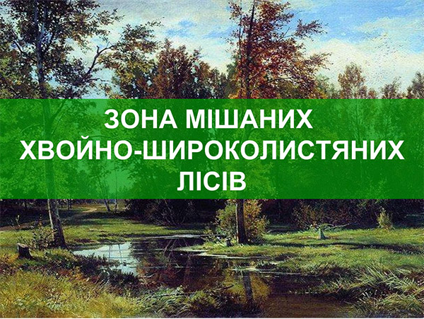 Зона мішаних хвойно-широколистяних лісів. Презентація з географії. 8 клас