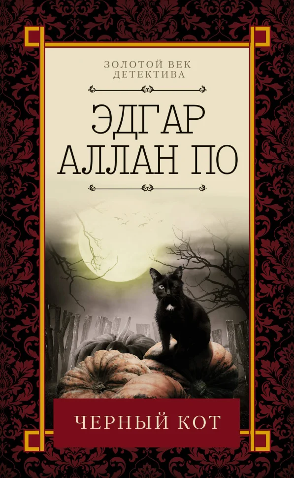 Черный кот