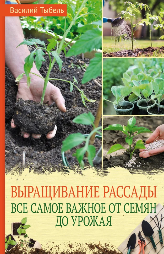 Выращивание рассады. Все самое важное от семян до урожая