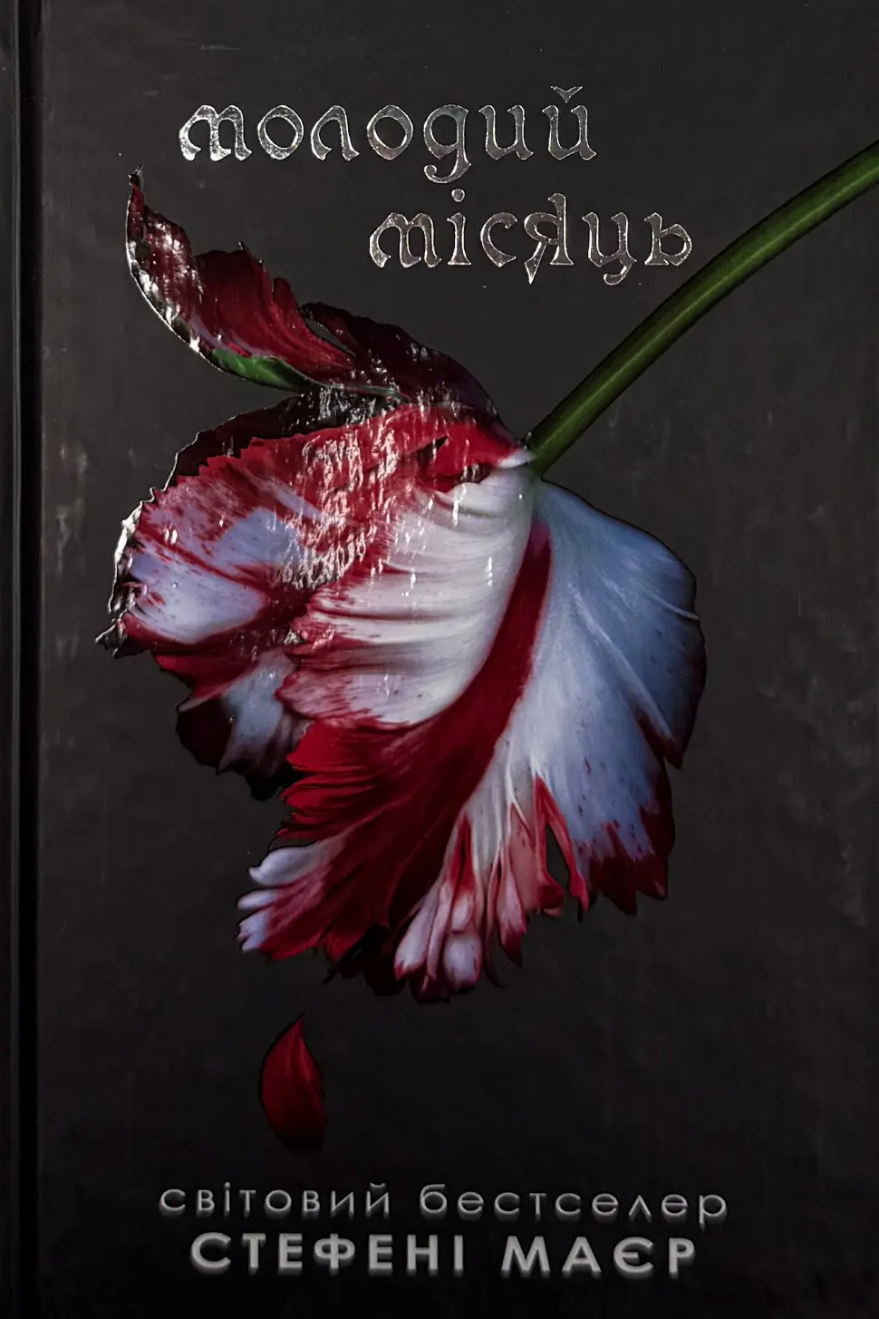 Молодий місяць. Книга 2